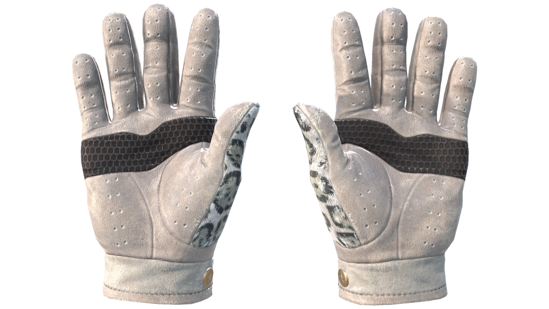 Snow Leopard image