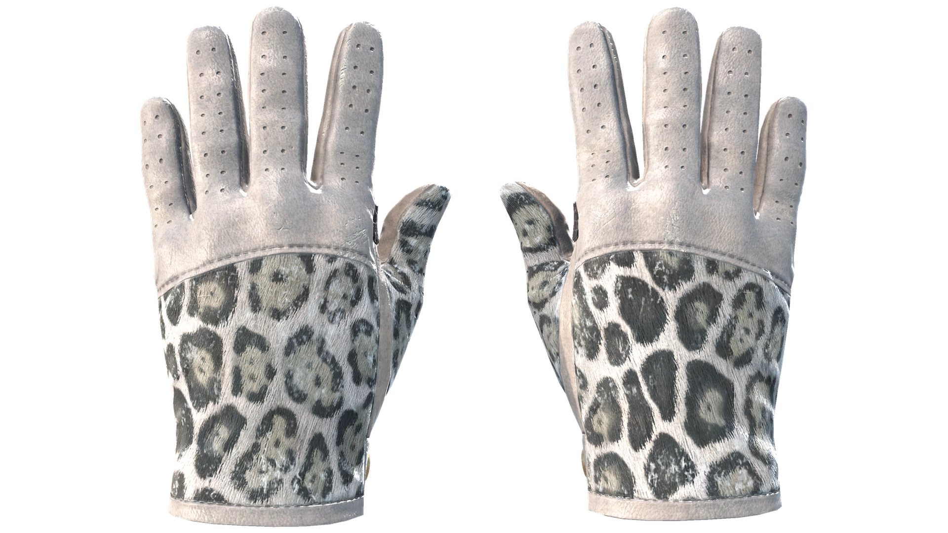 Snow Leopard image