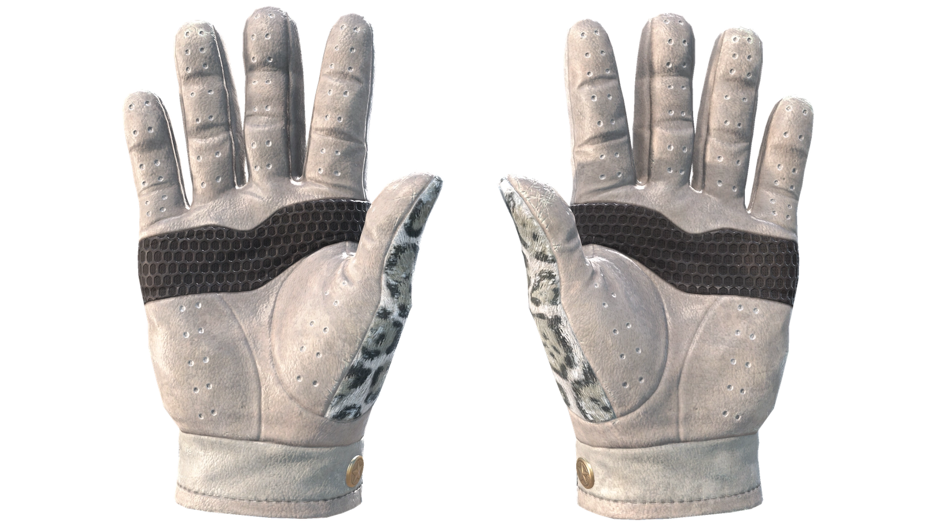 Snow Leopard image