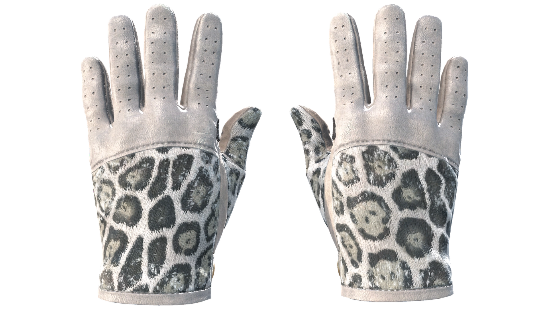 Snow Leopard image