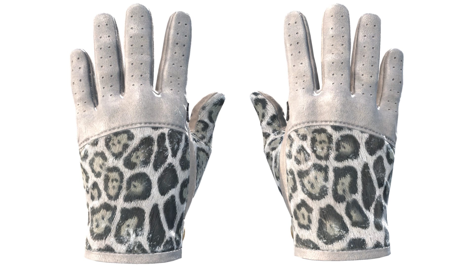 Snow Leopard image