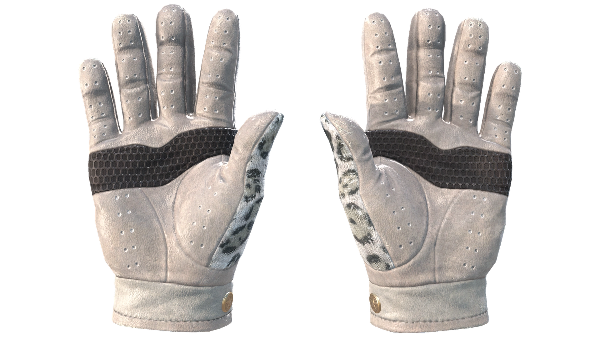 Snow Leopard image