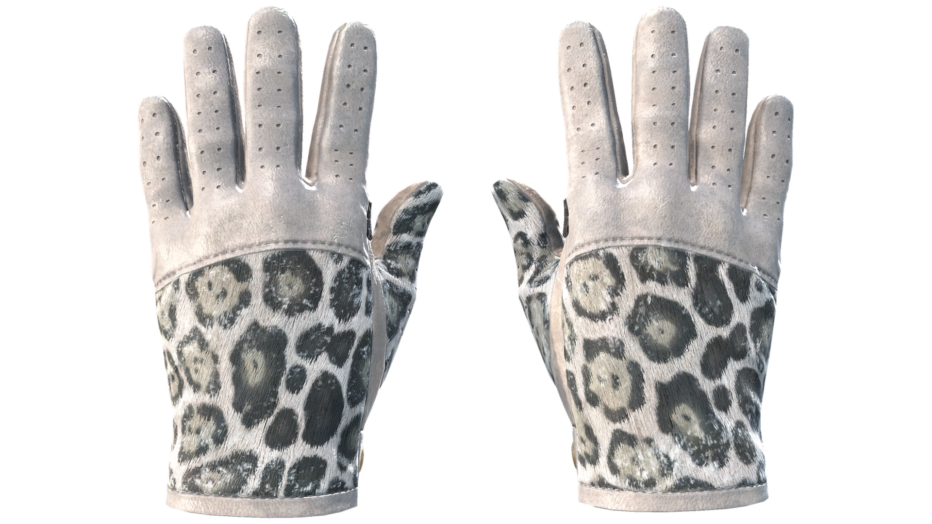 Snow Leopard image