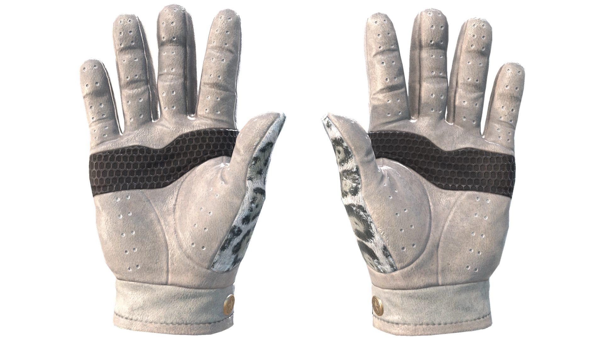 Snow Leopard image