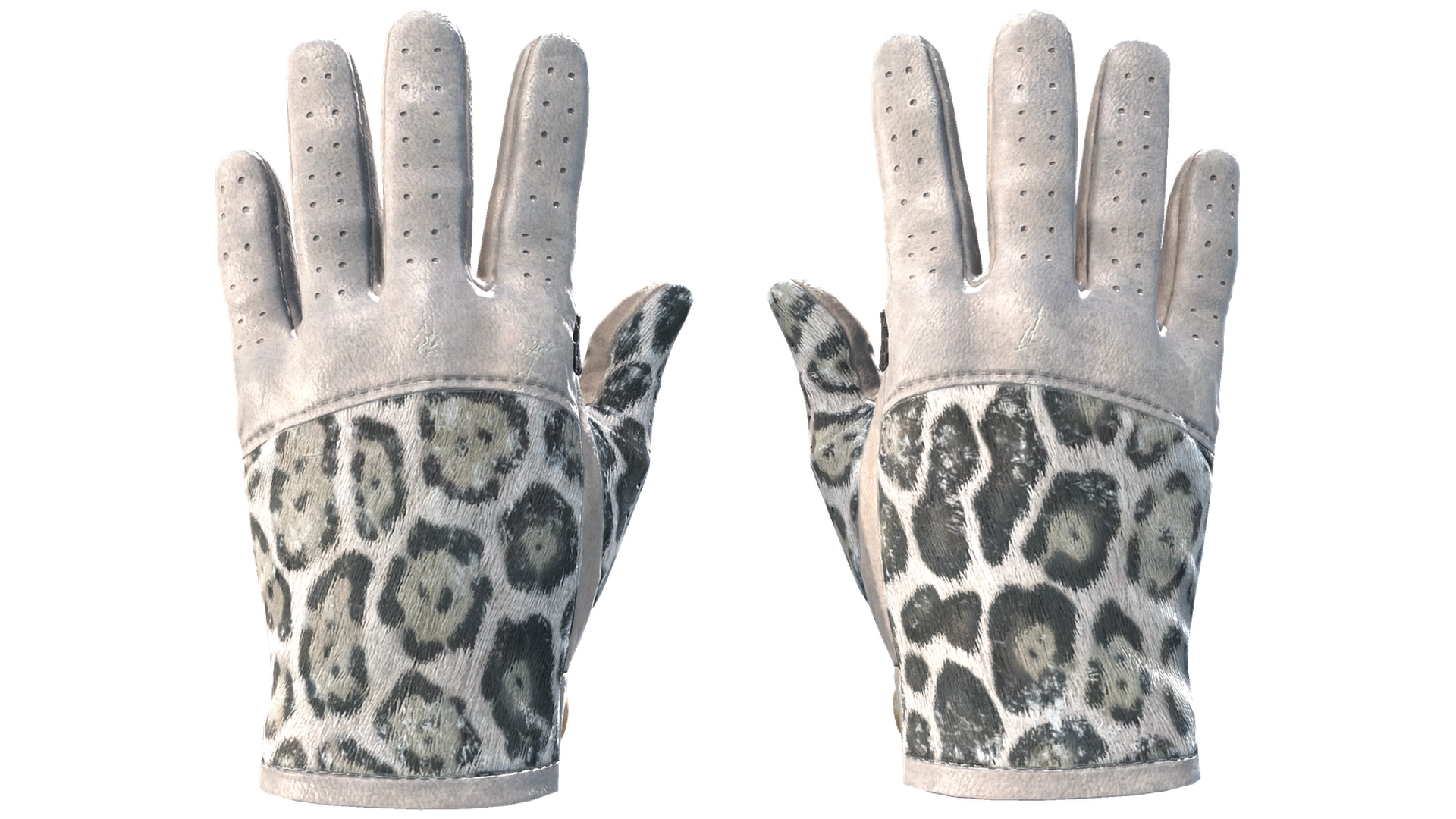 Snow Leopard image