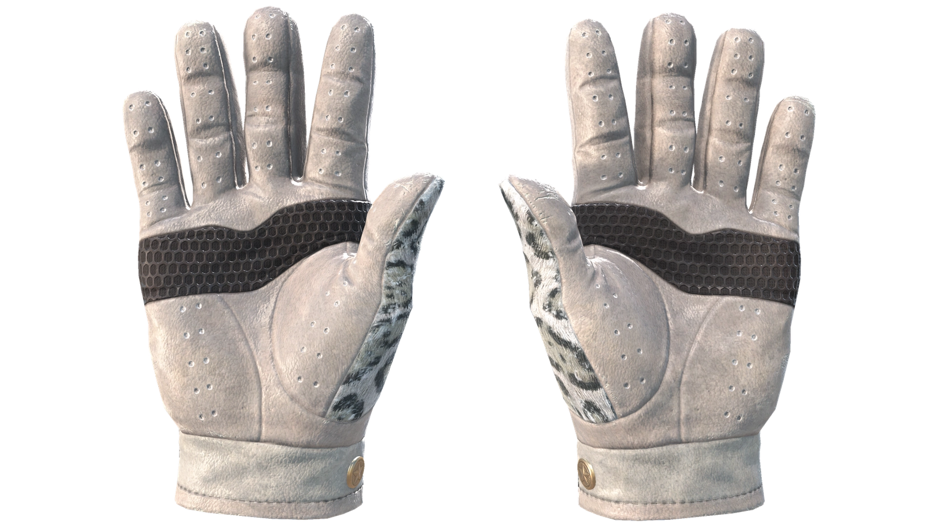 Snow Leopard image