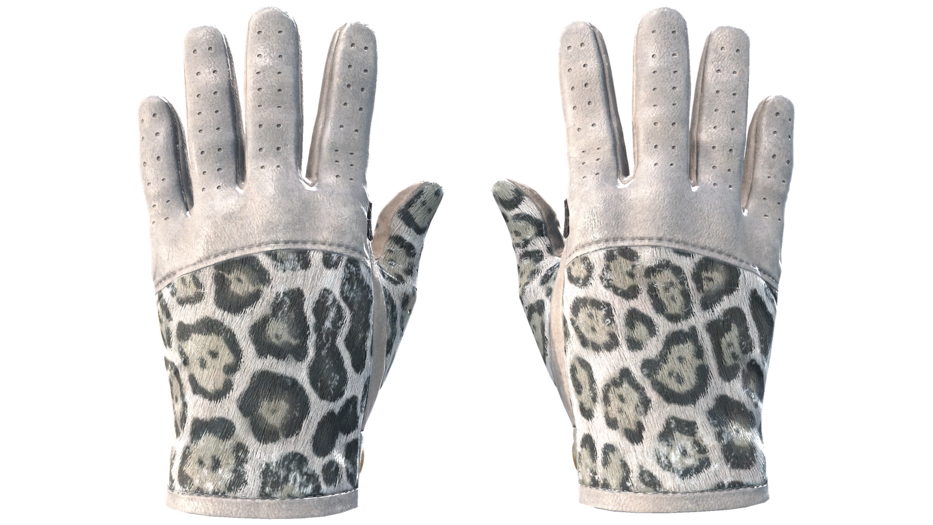 Snow Leopard image