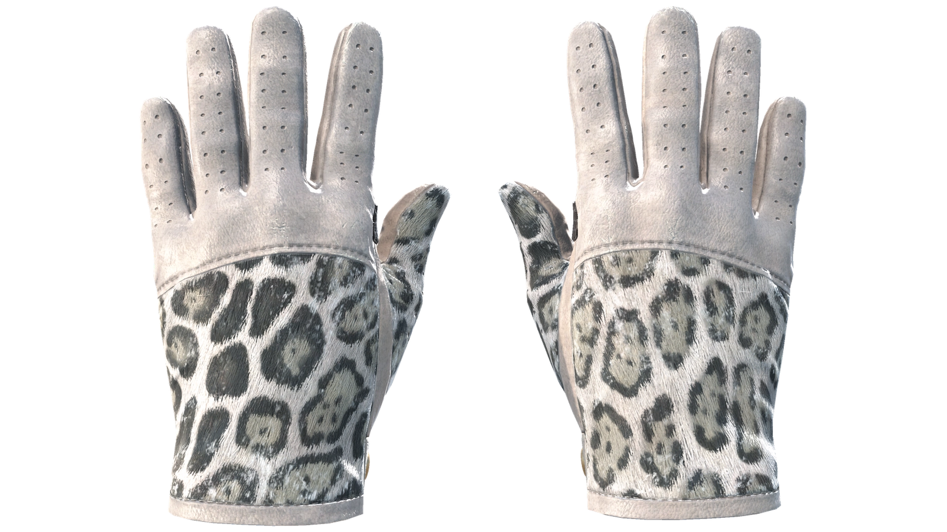 Snow Leopard image