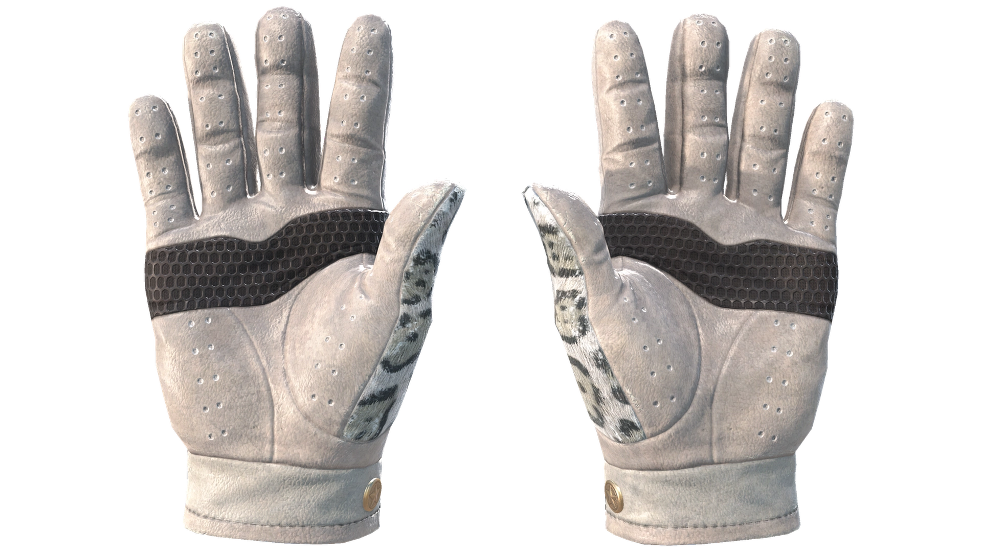 Snow Leopard image