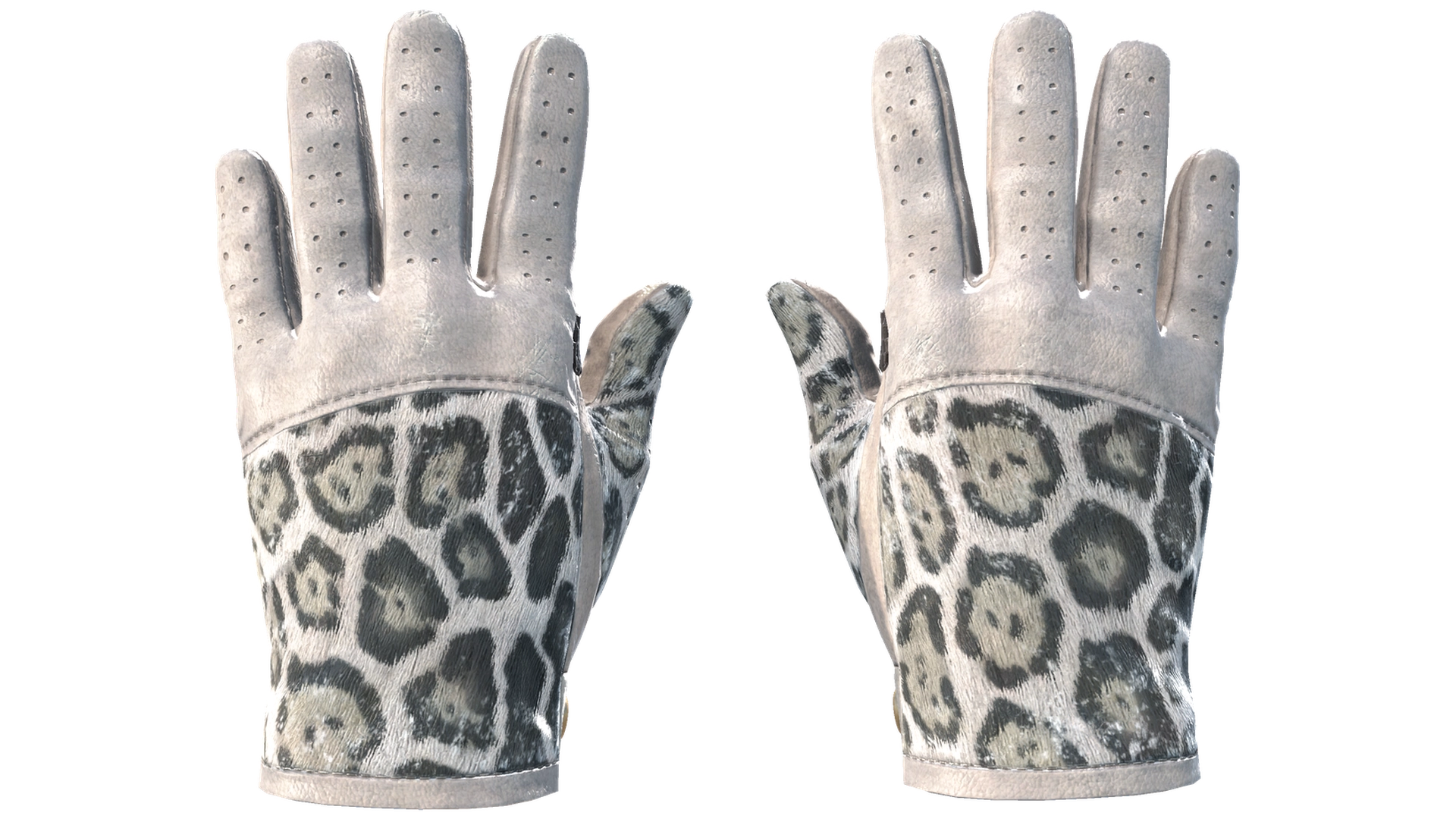 Snow Leopard image