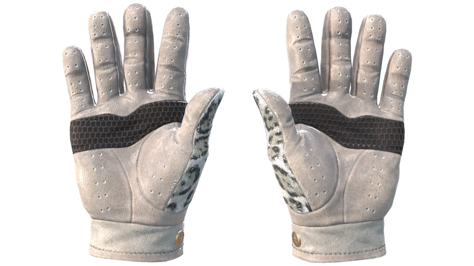 Snow Leopard image