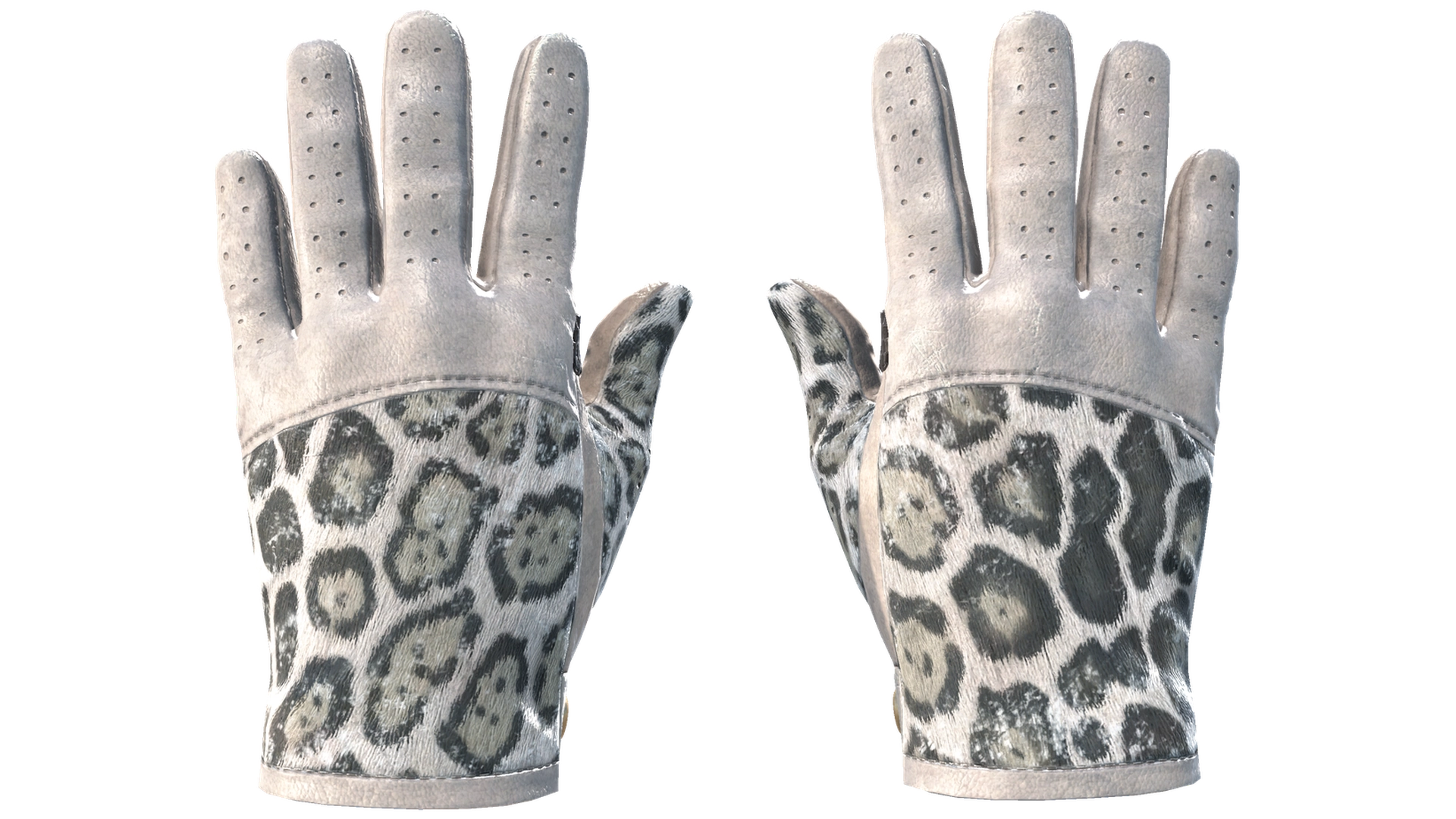 Snow Leopard image