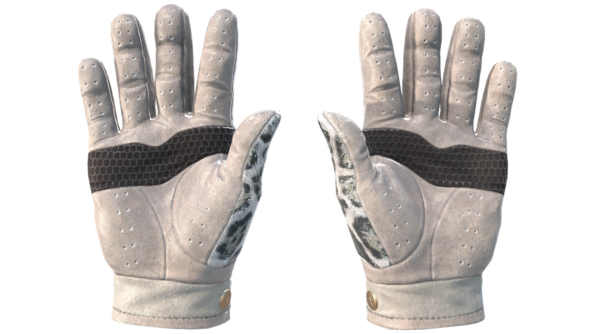 Snow Leopard image