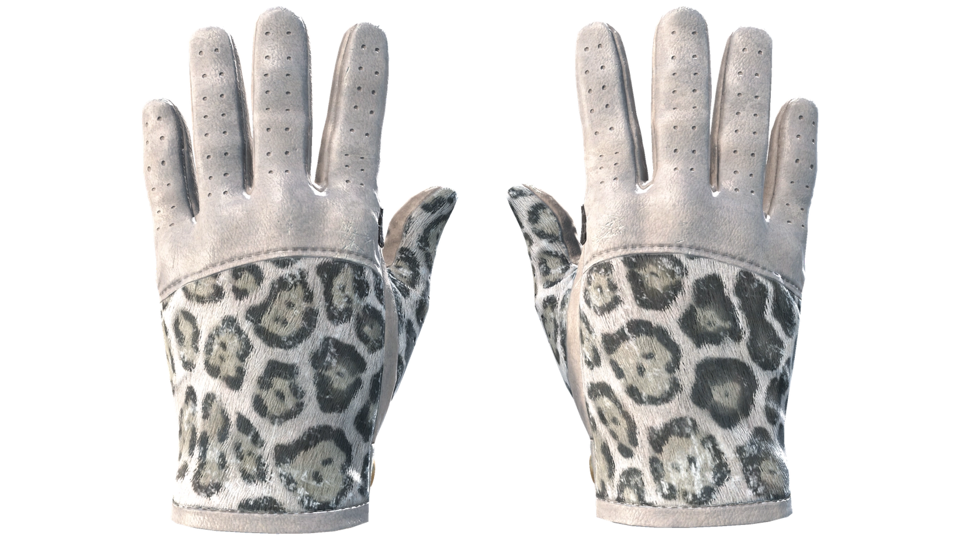 Snow Leopard image