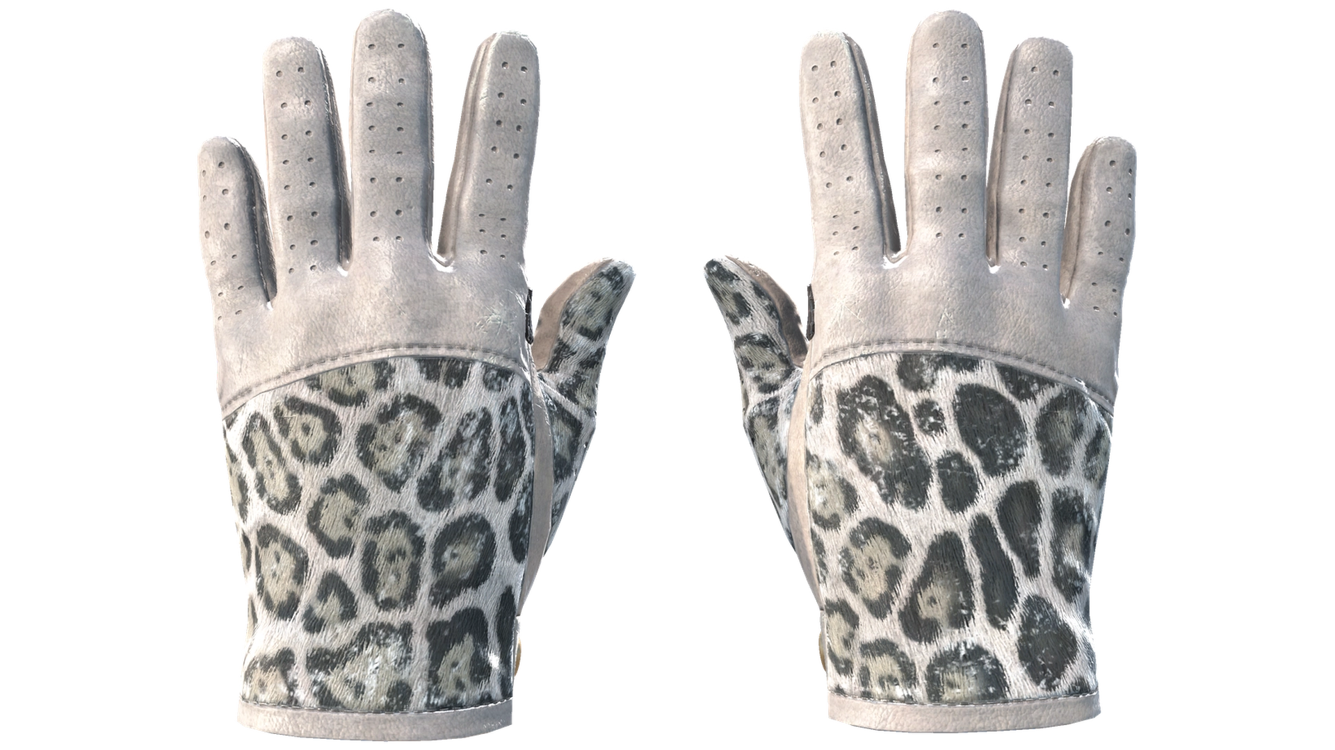 Snow Leopard image