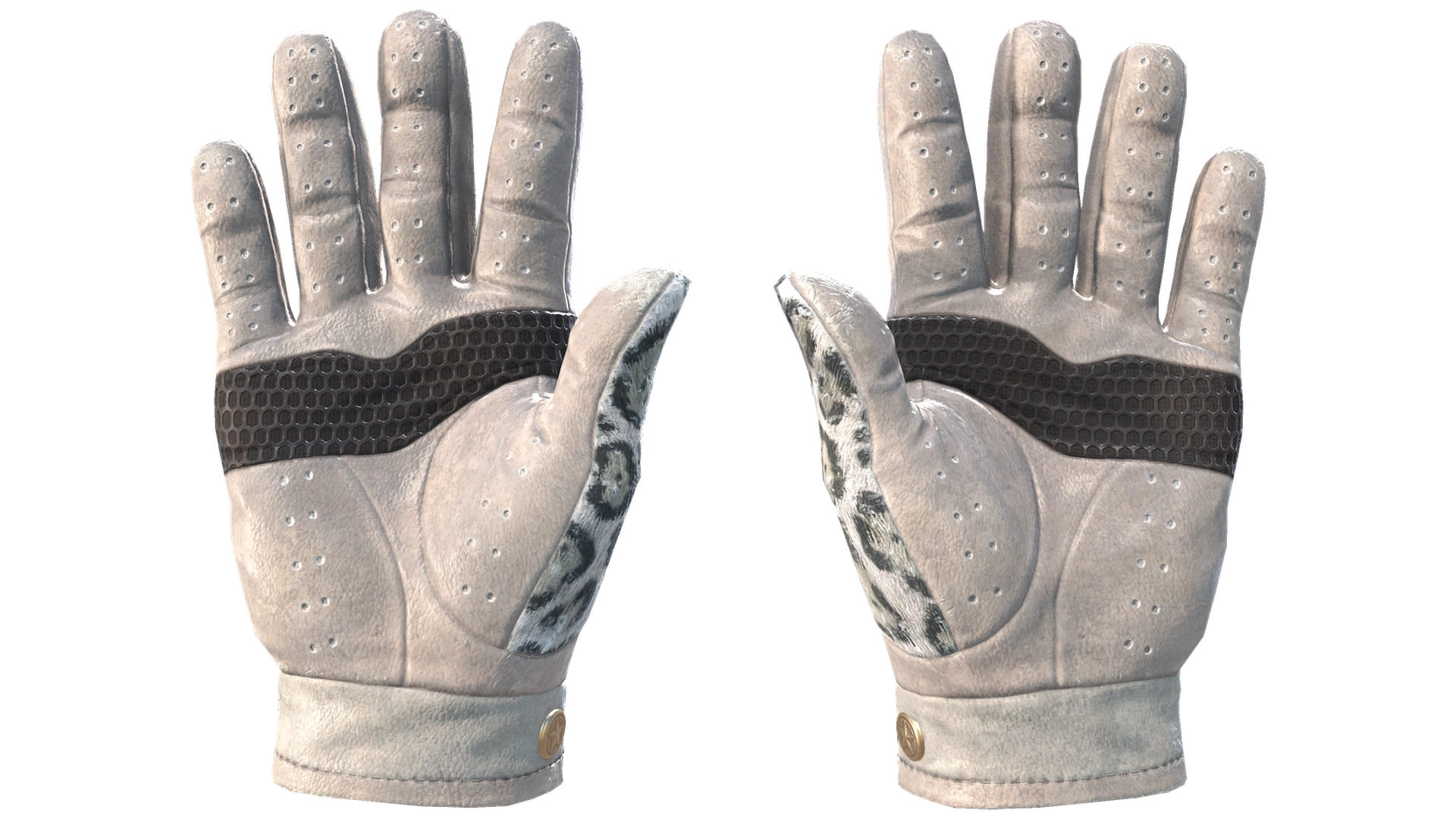 Snow Leopard image