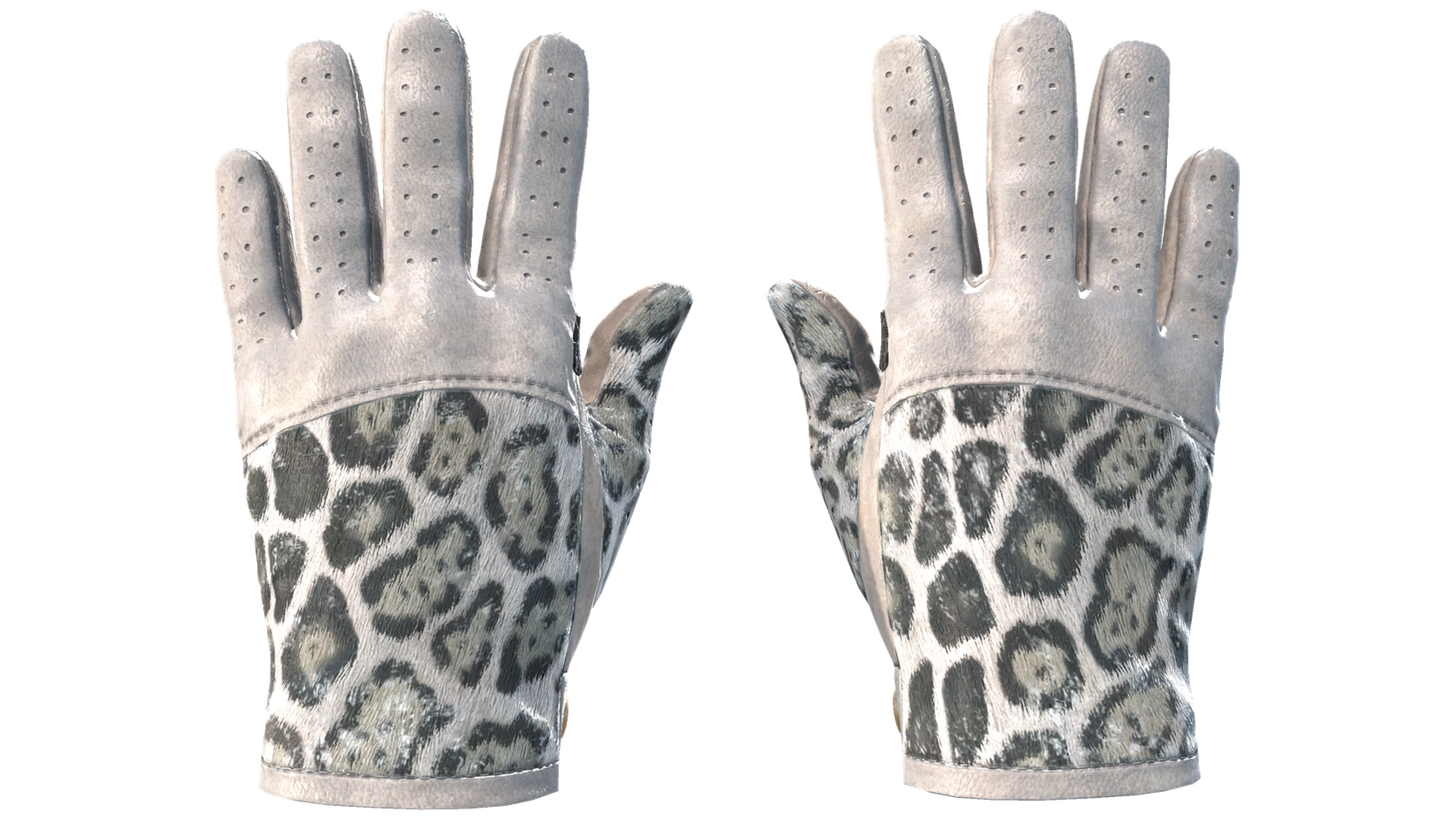 Snow Leopard image