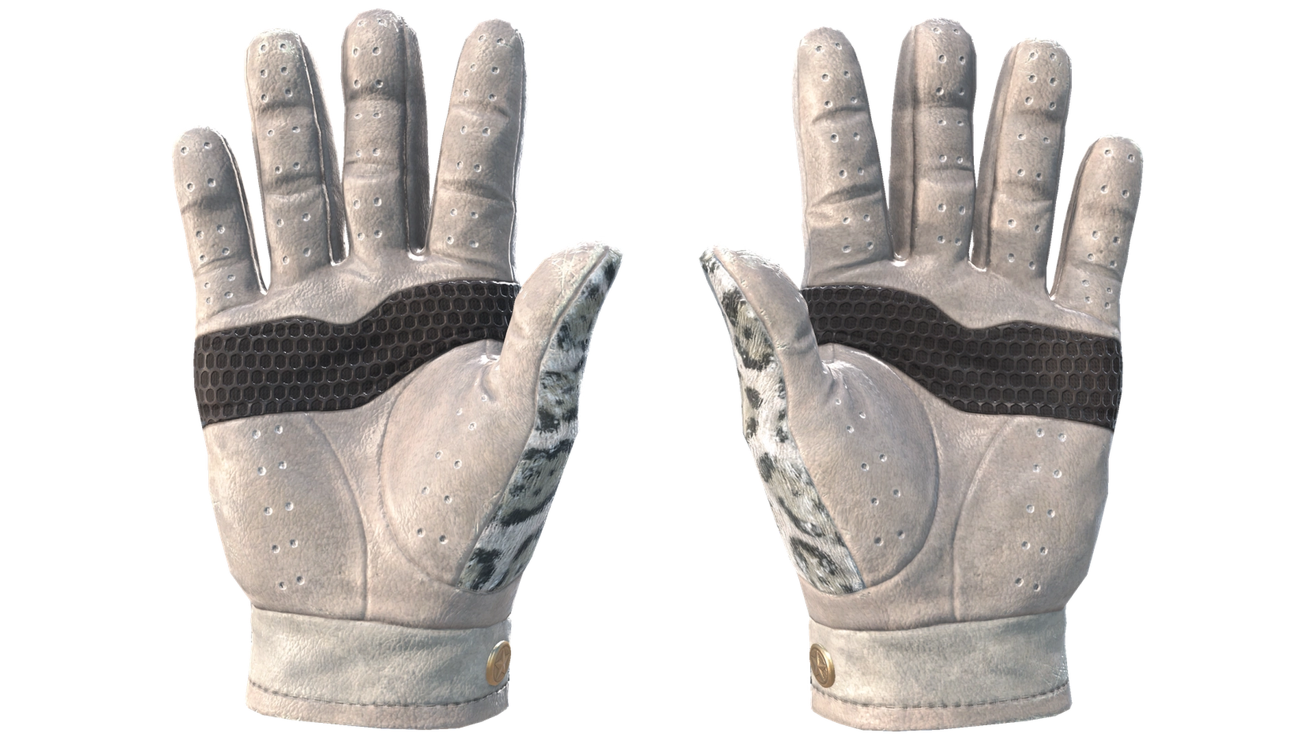 Snow Leopard image