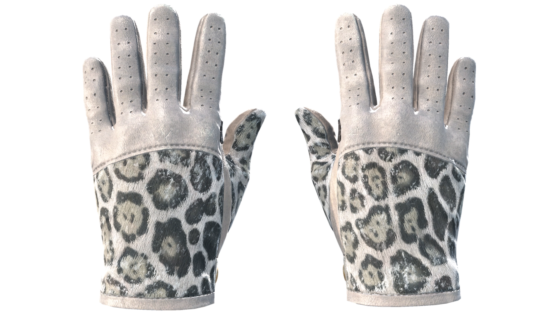 Snow Leopard image