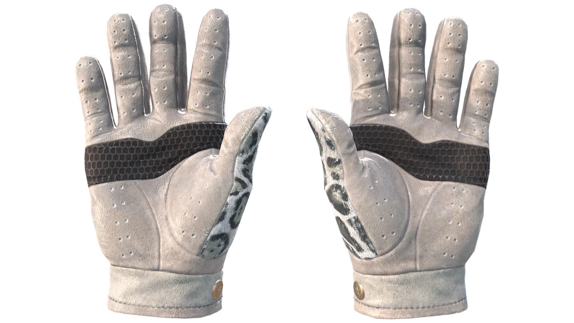 Snow Leopard image