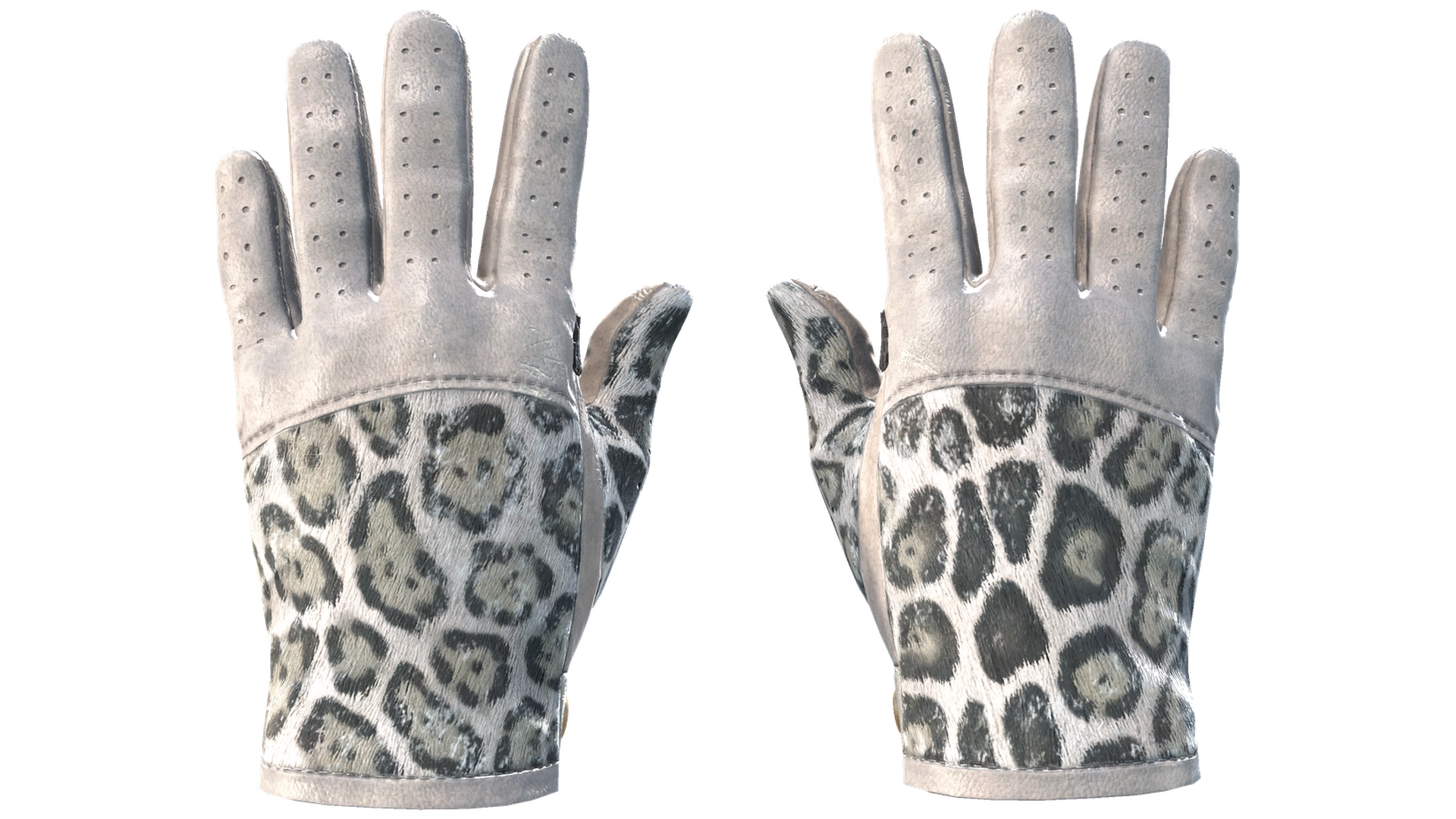 Snow Leopard image