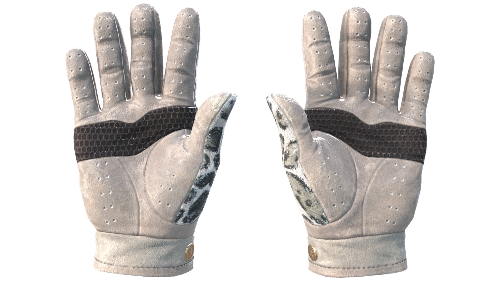 Snow Leopard image