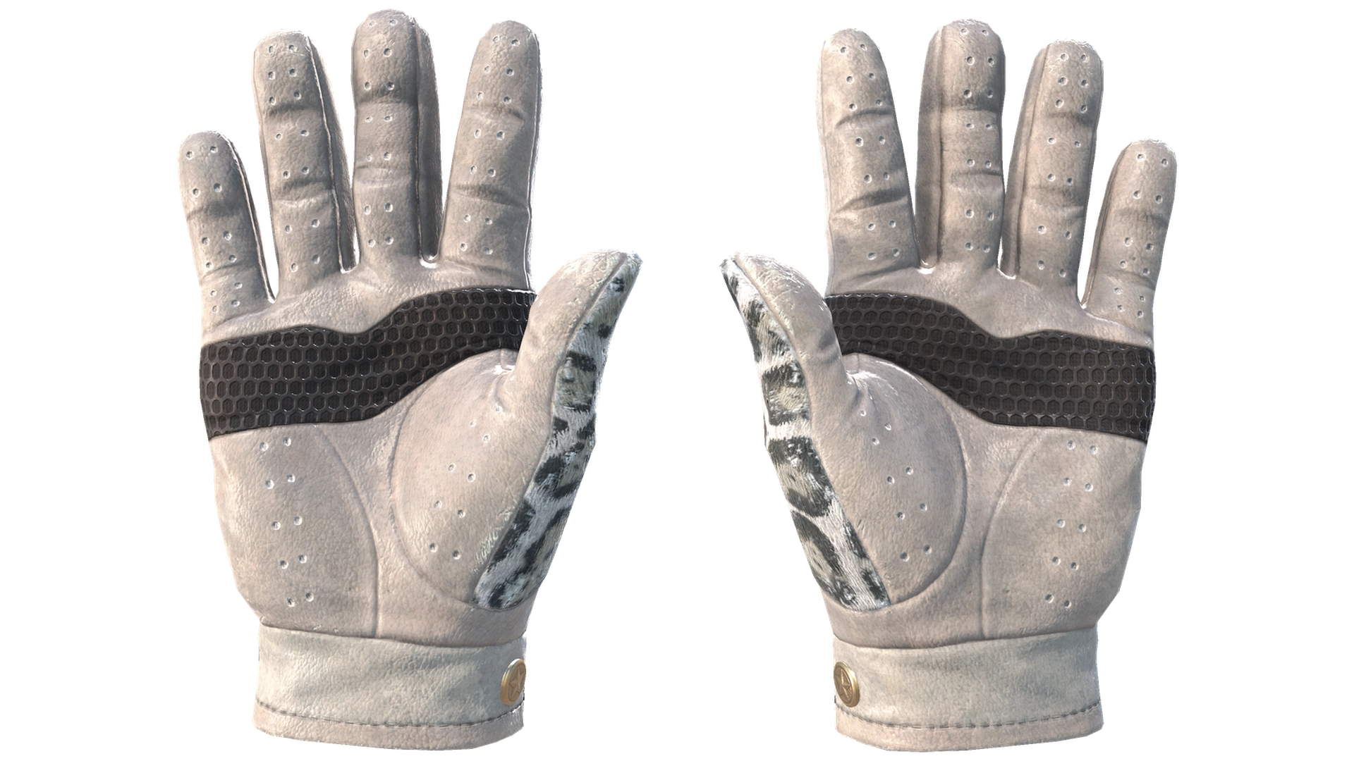 Snow Leopard image