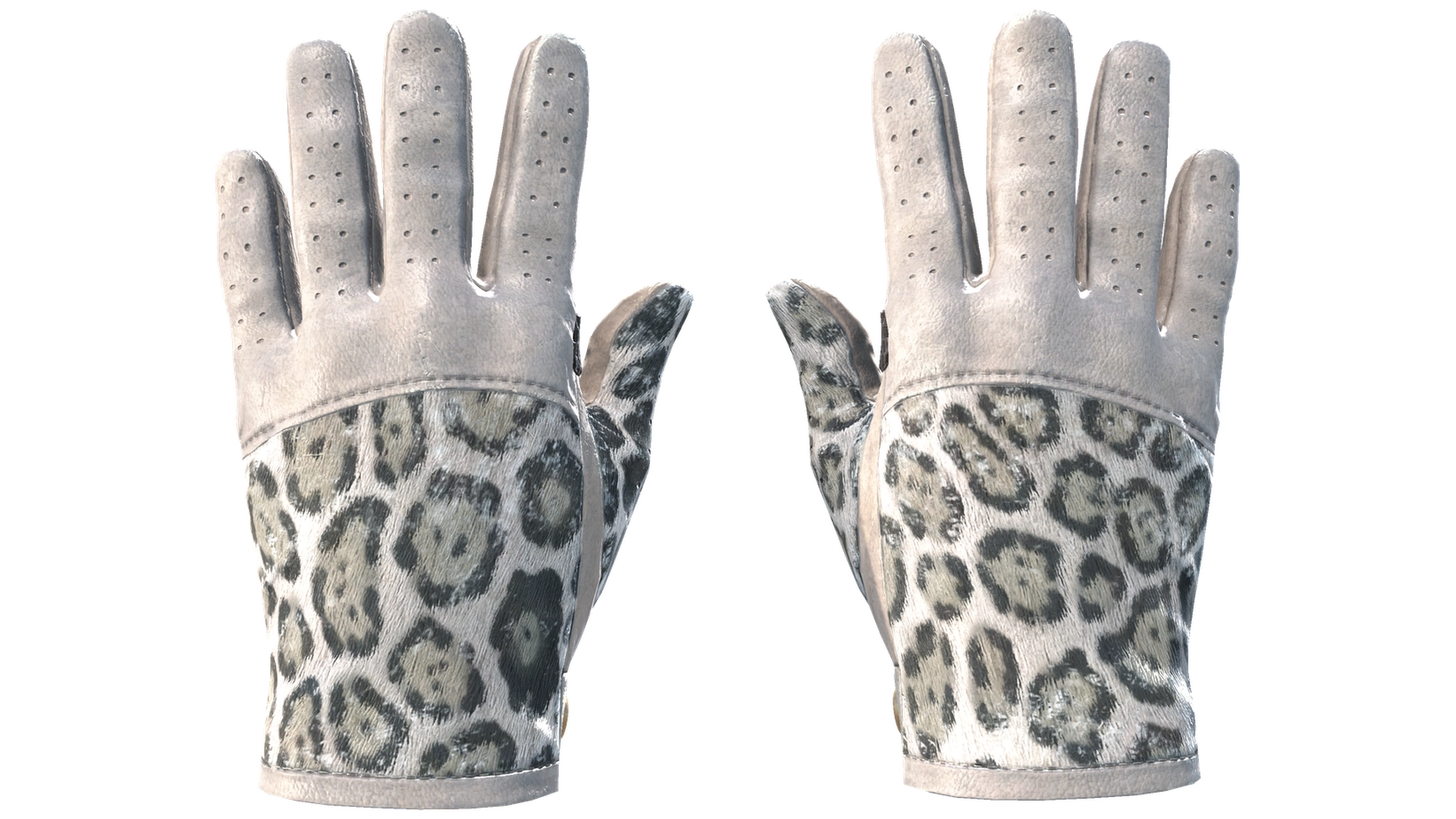 Snow Leopard image