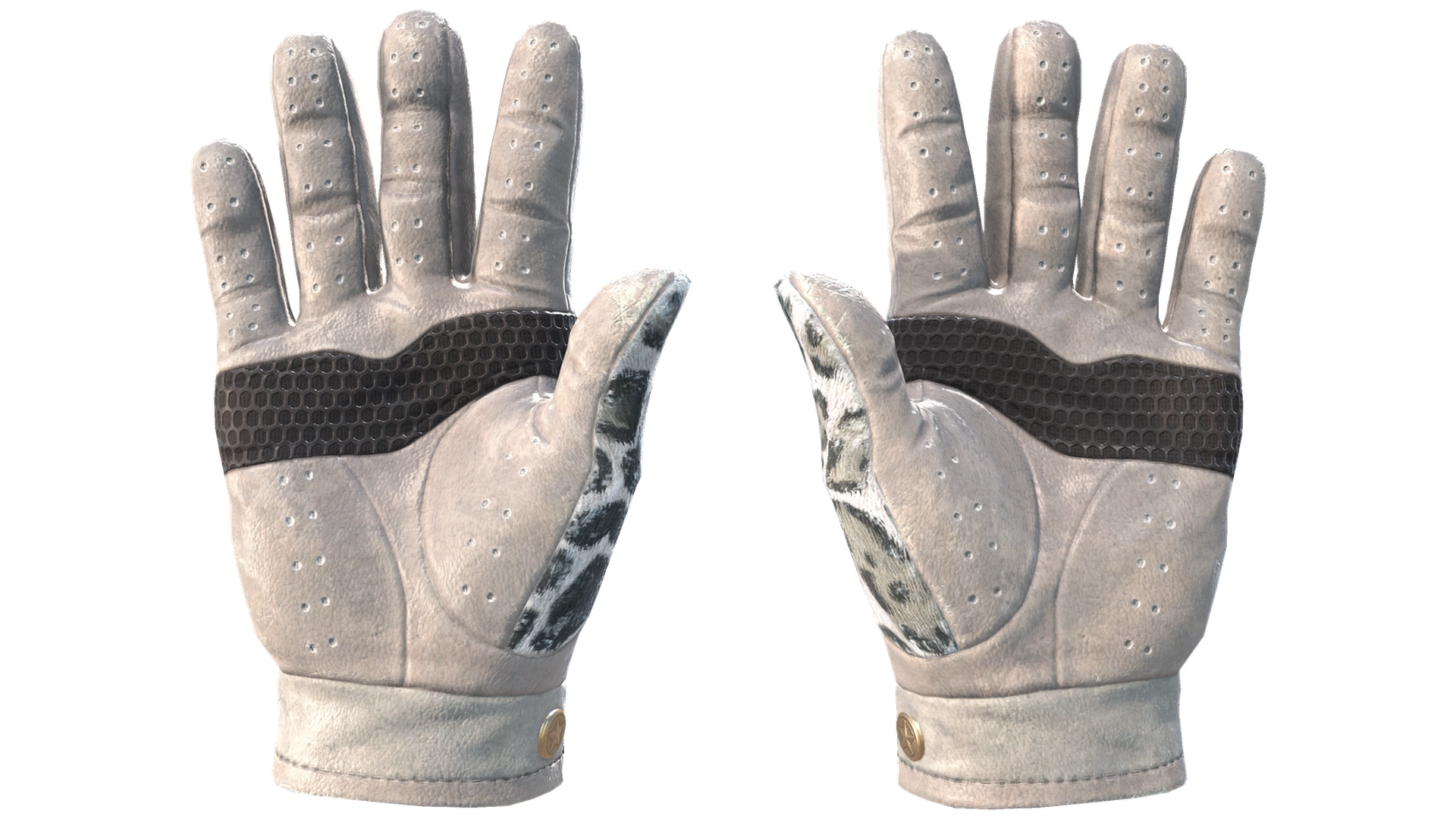 Snow Leopard image