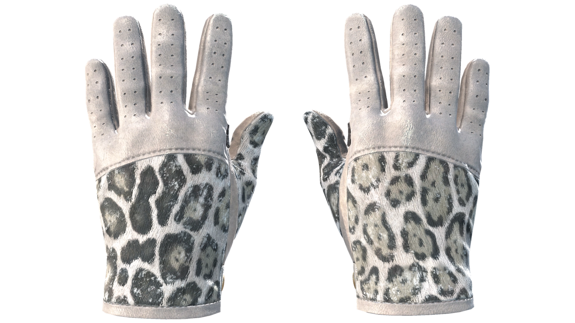 Snow Leopard image