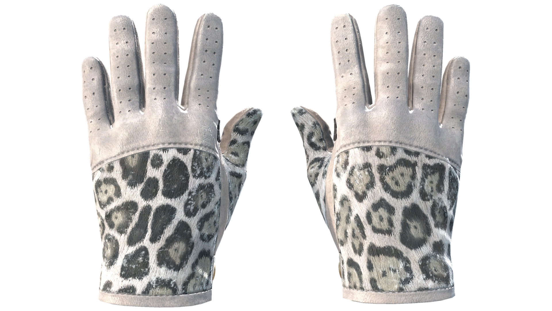 Snow Leopard image