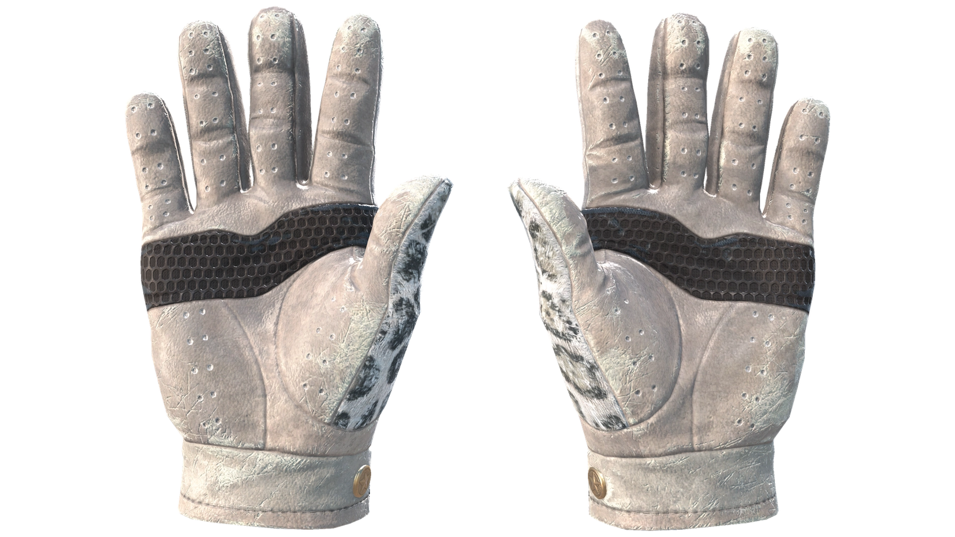 Snow Leopard image