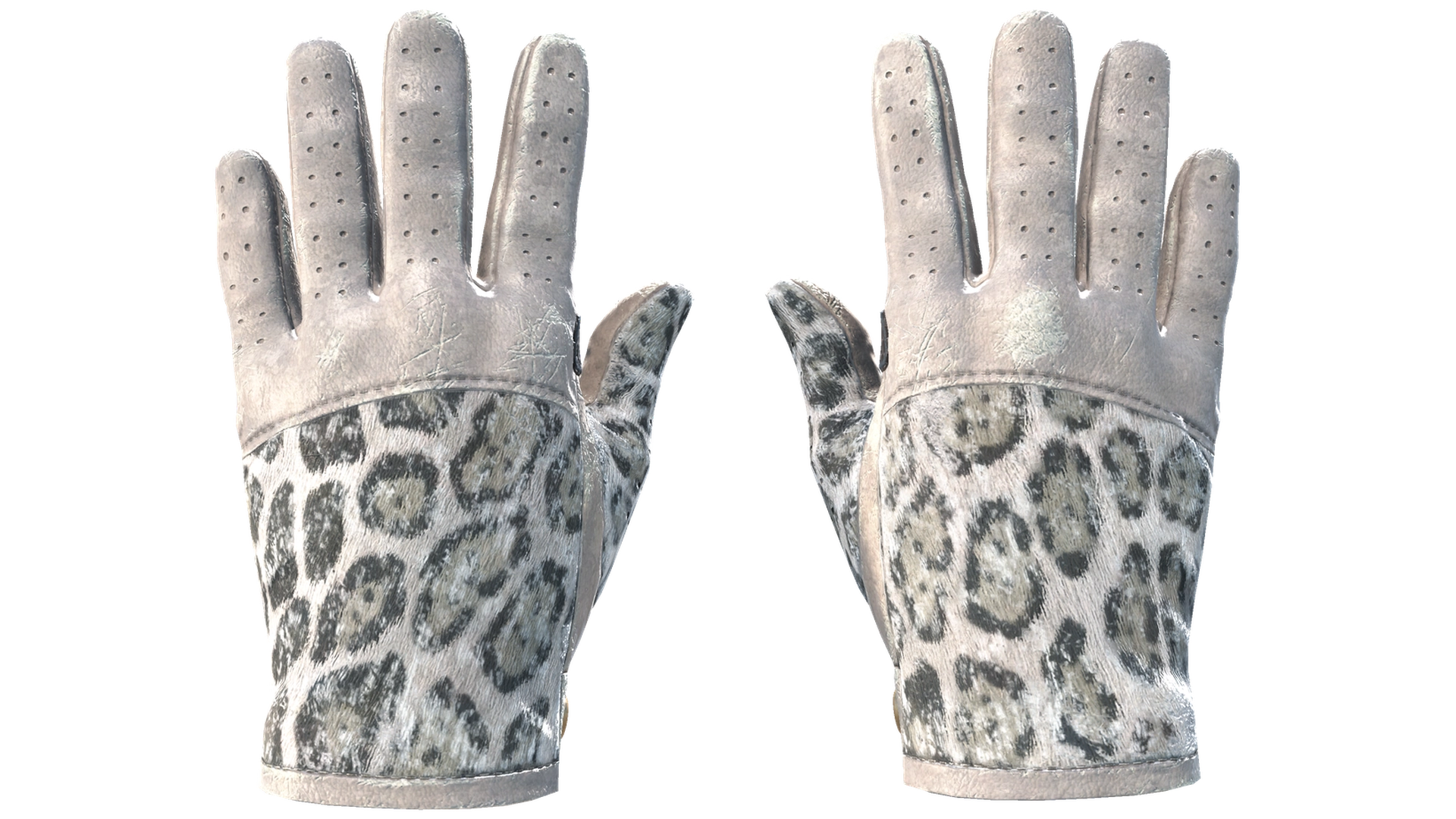Snow Leopard image