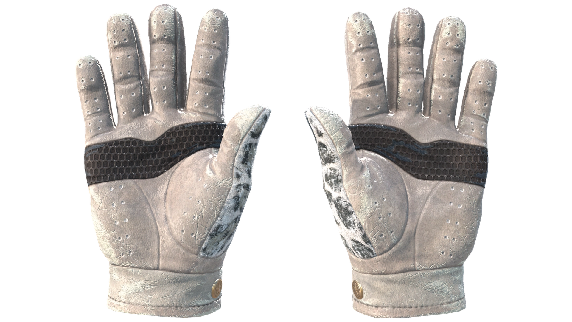 Snow Leopard image