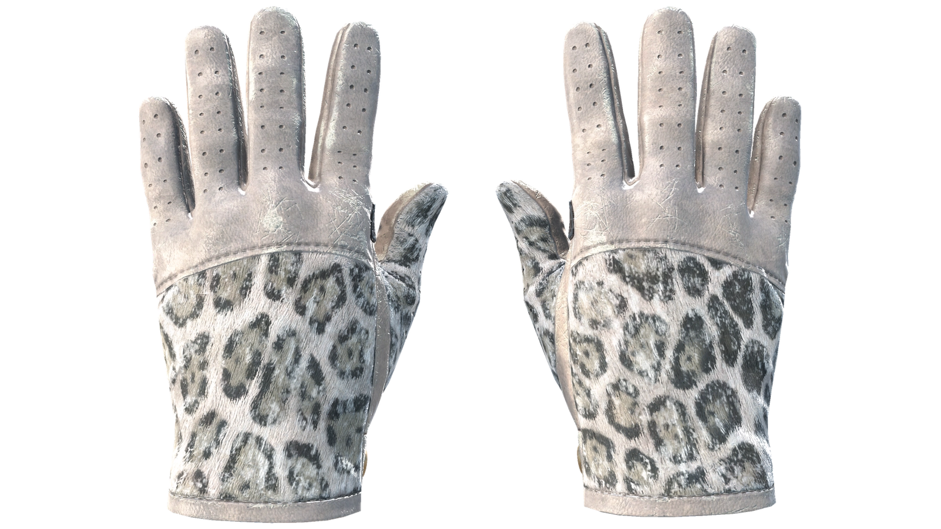 Snow Leopard image