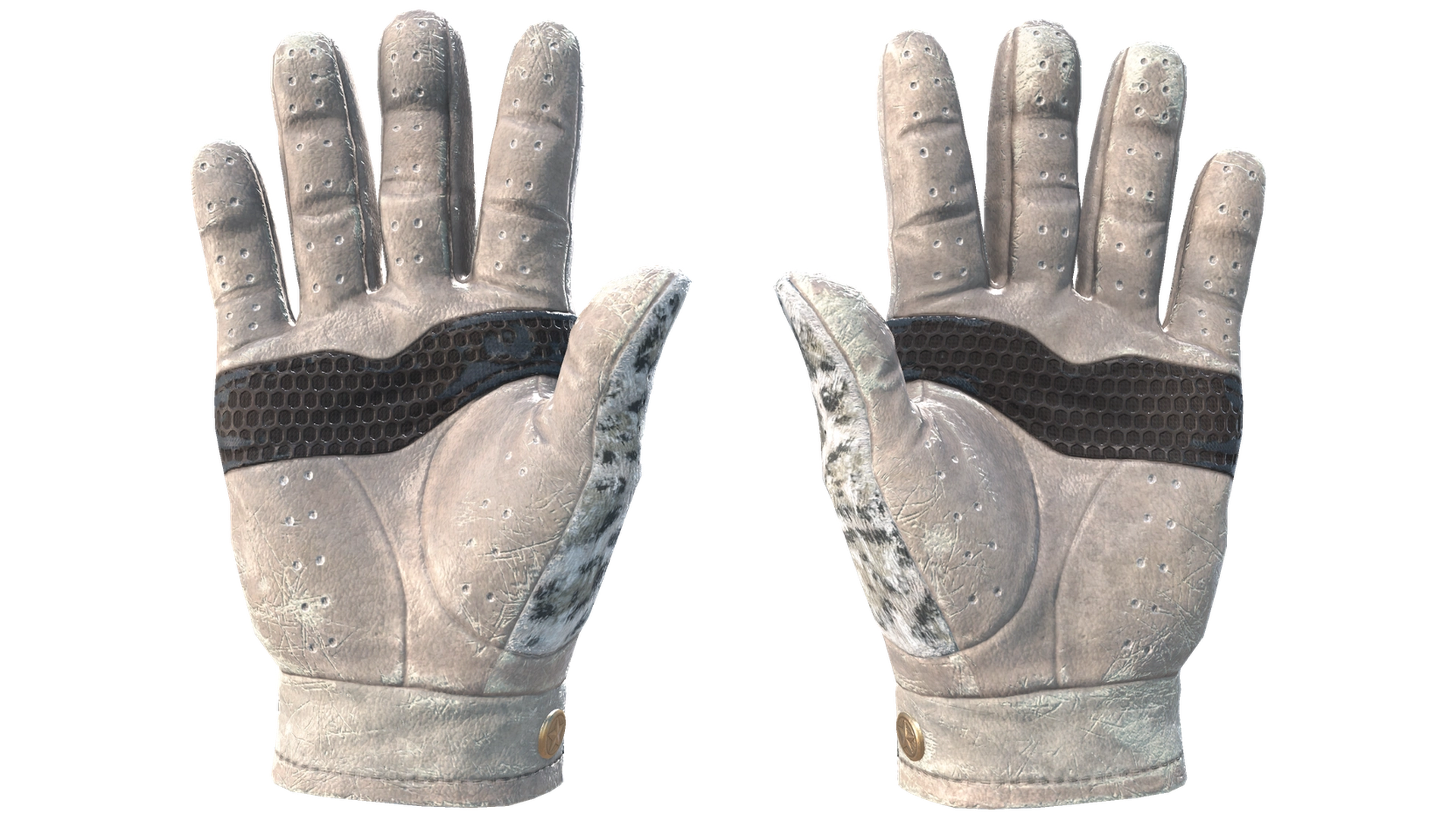 Snow Leopard image