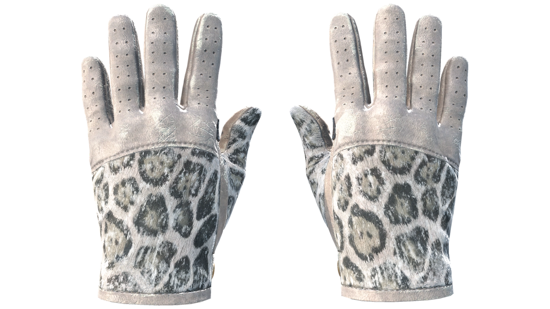 Snow Leopard image