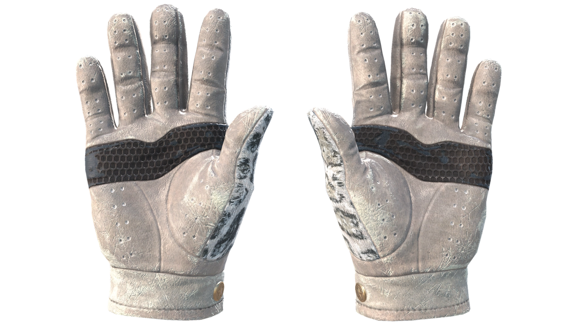Snow Leopard image
