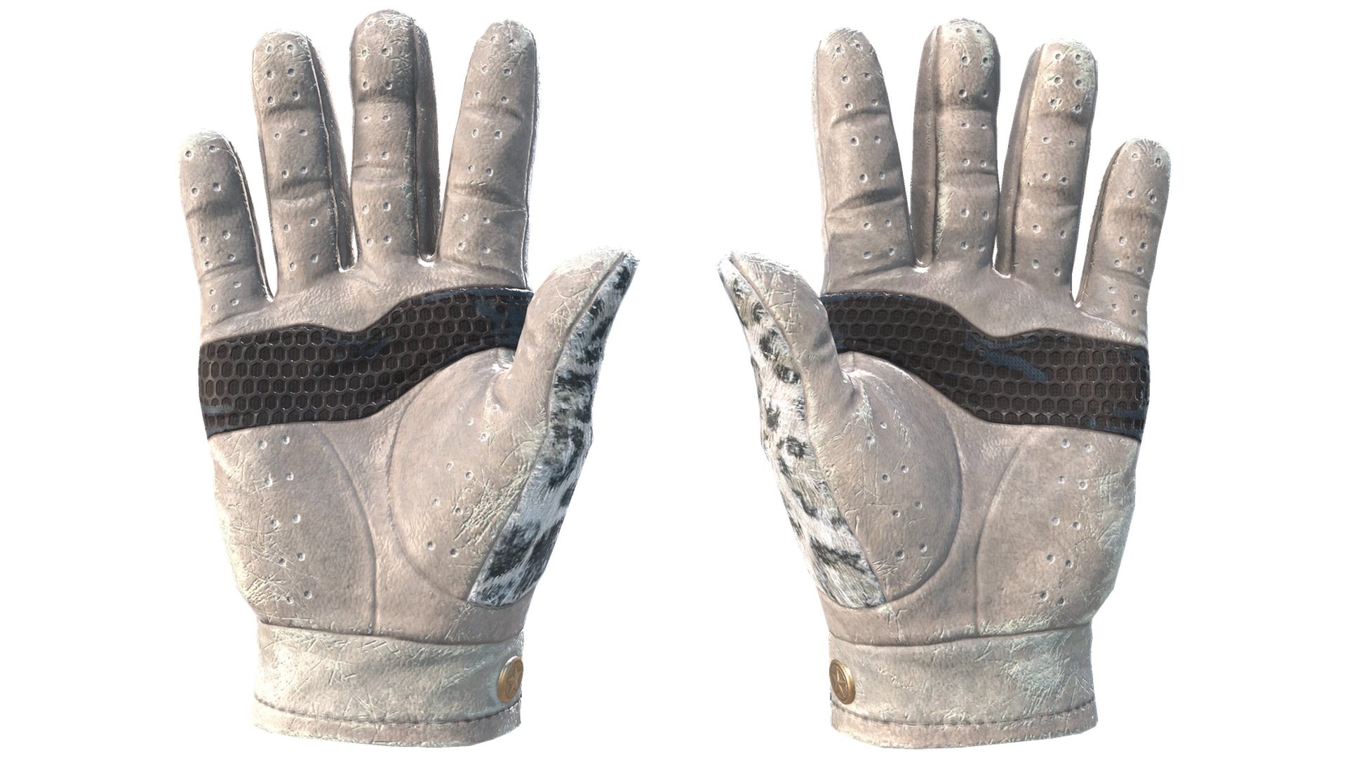 Snow Leopard image