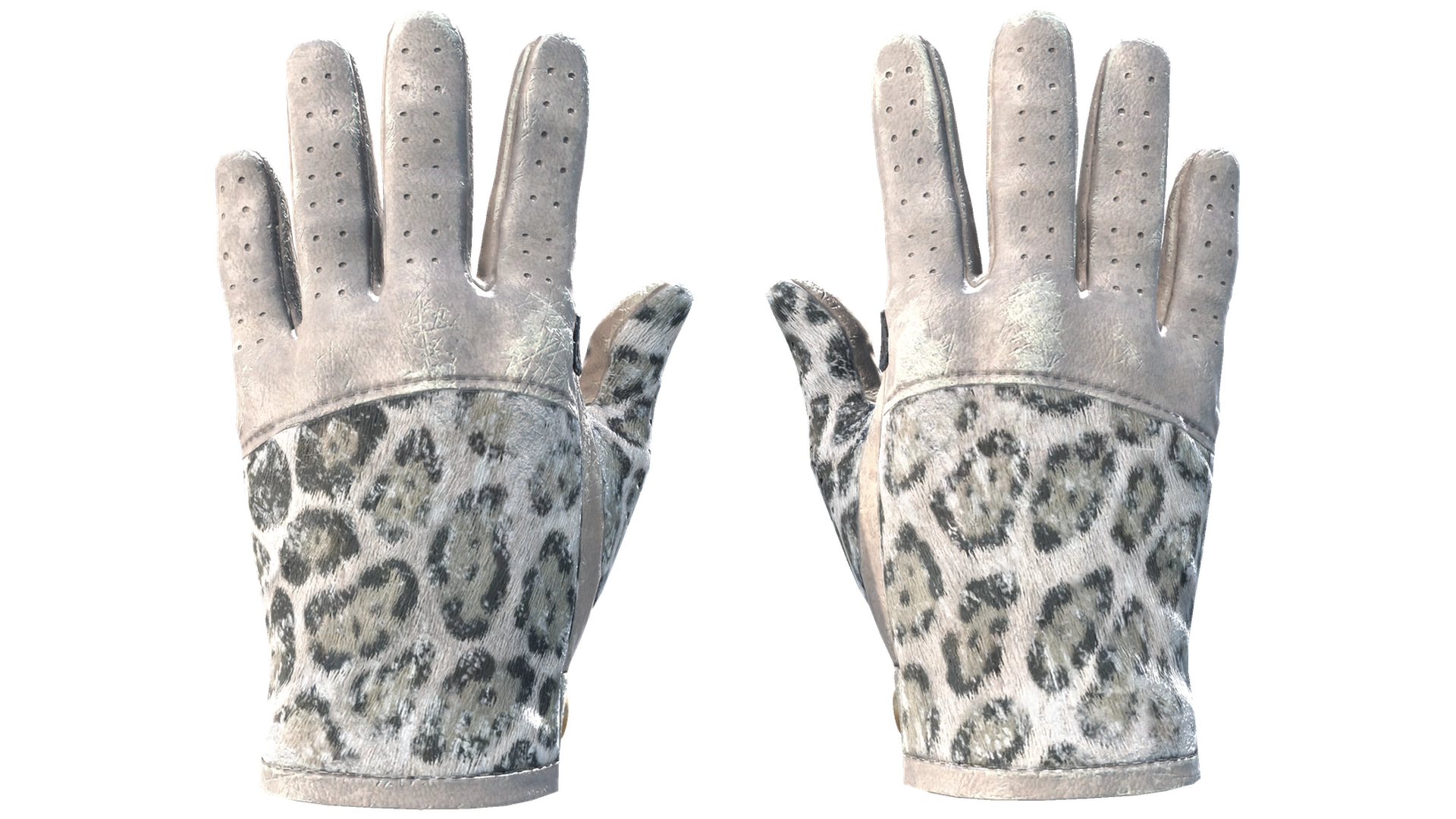 Snow Leopard image