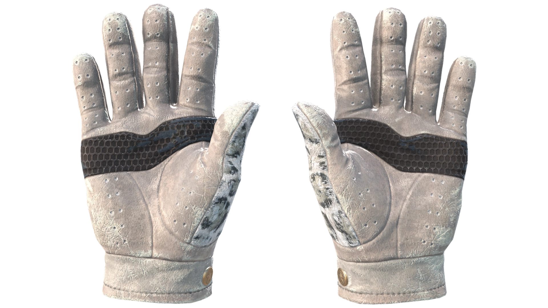 Snow Leopard image