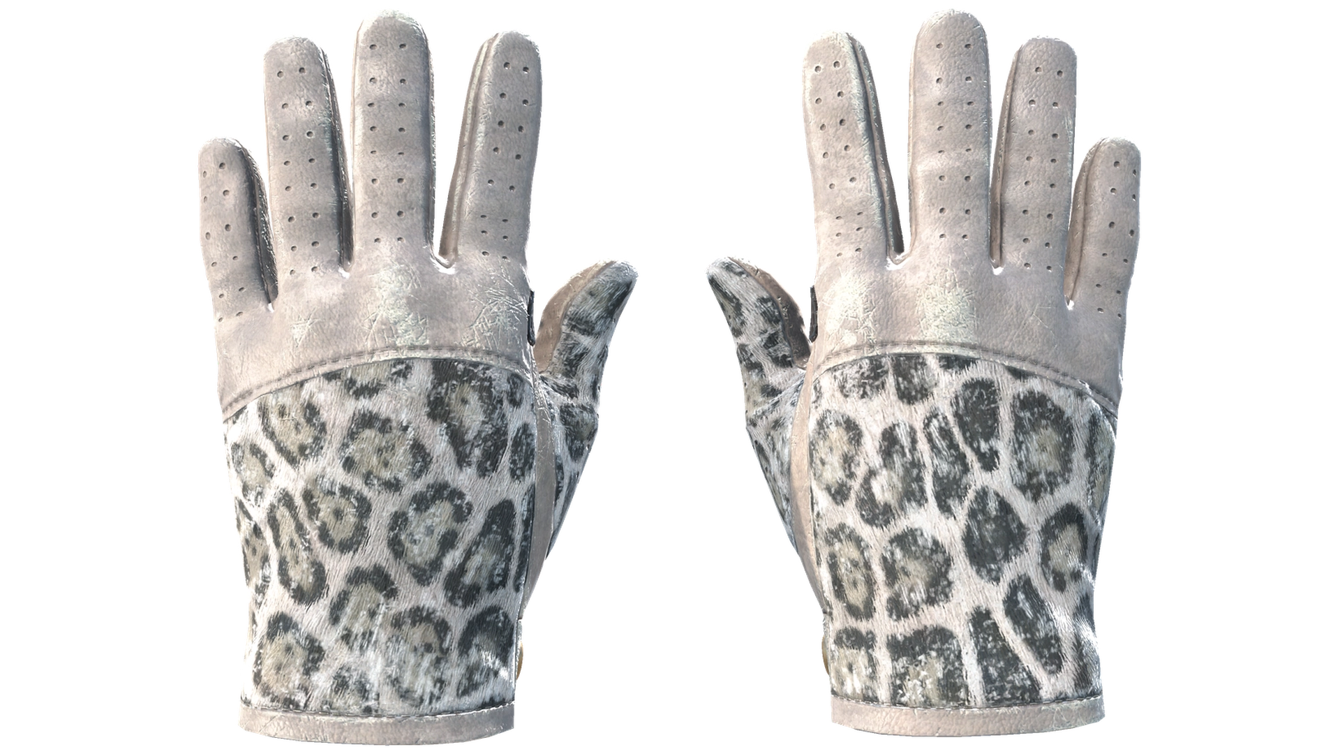 Snow Leopard image