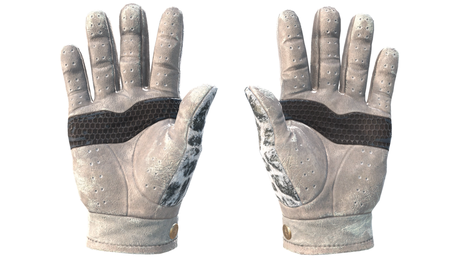 Snow Leopard image