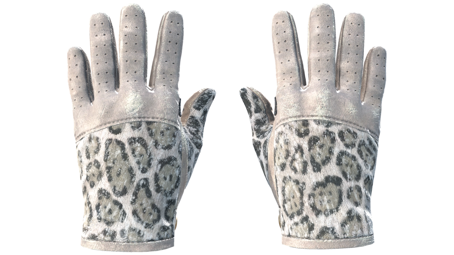 Snow Leopard image
