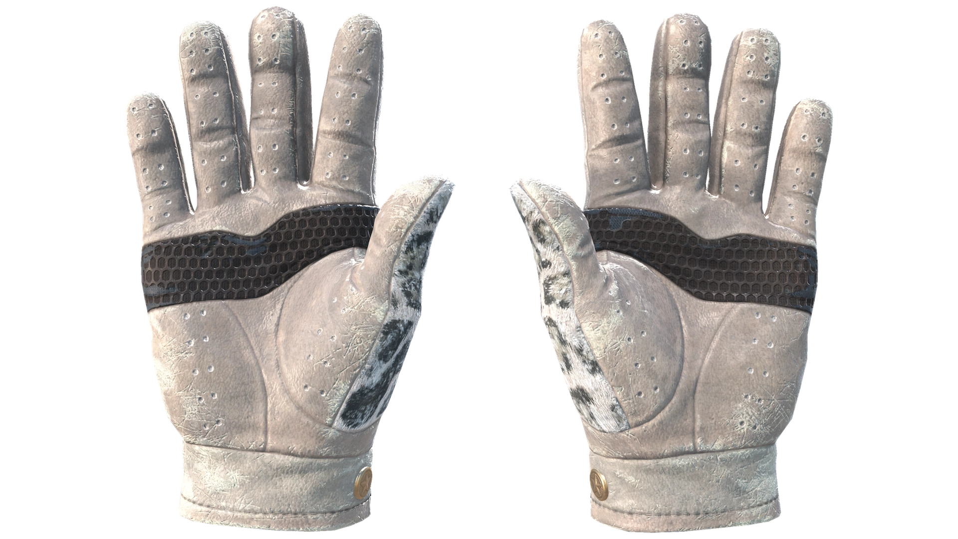 Snow Leopard image