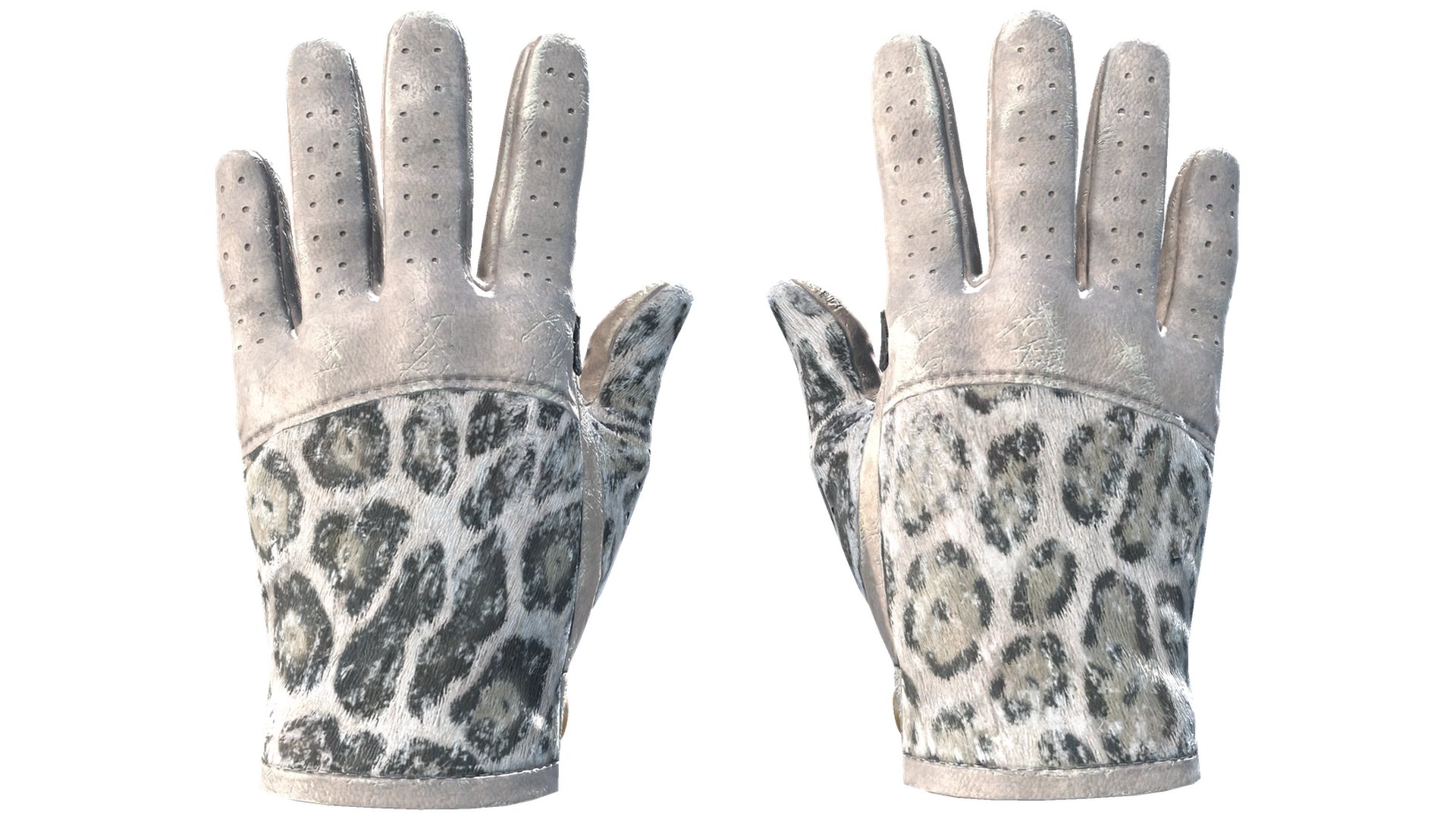 Snow Leopard image