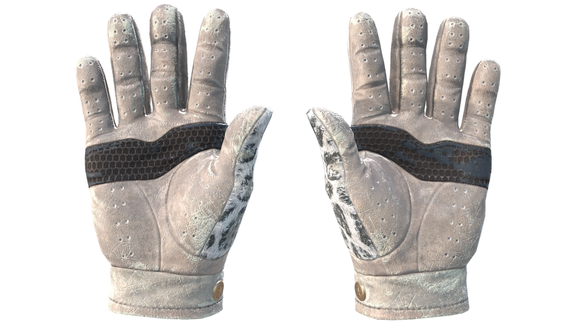 Snow Leopard image