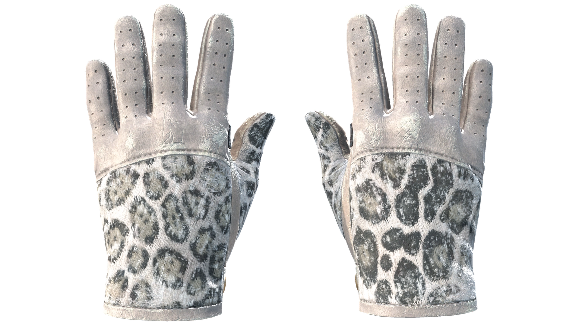Snow Leopard image