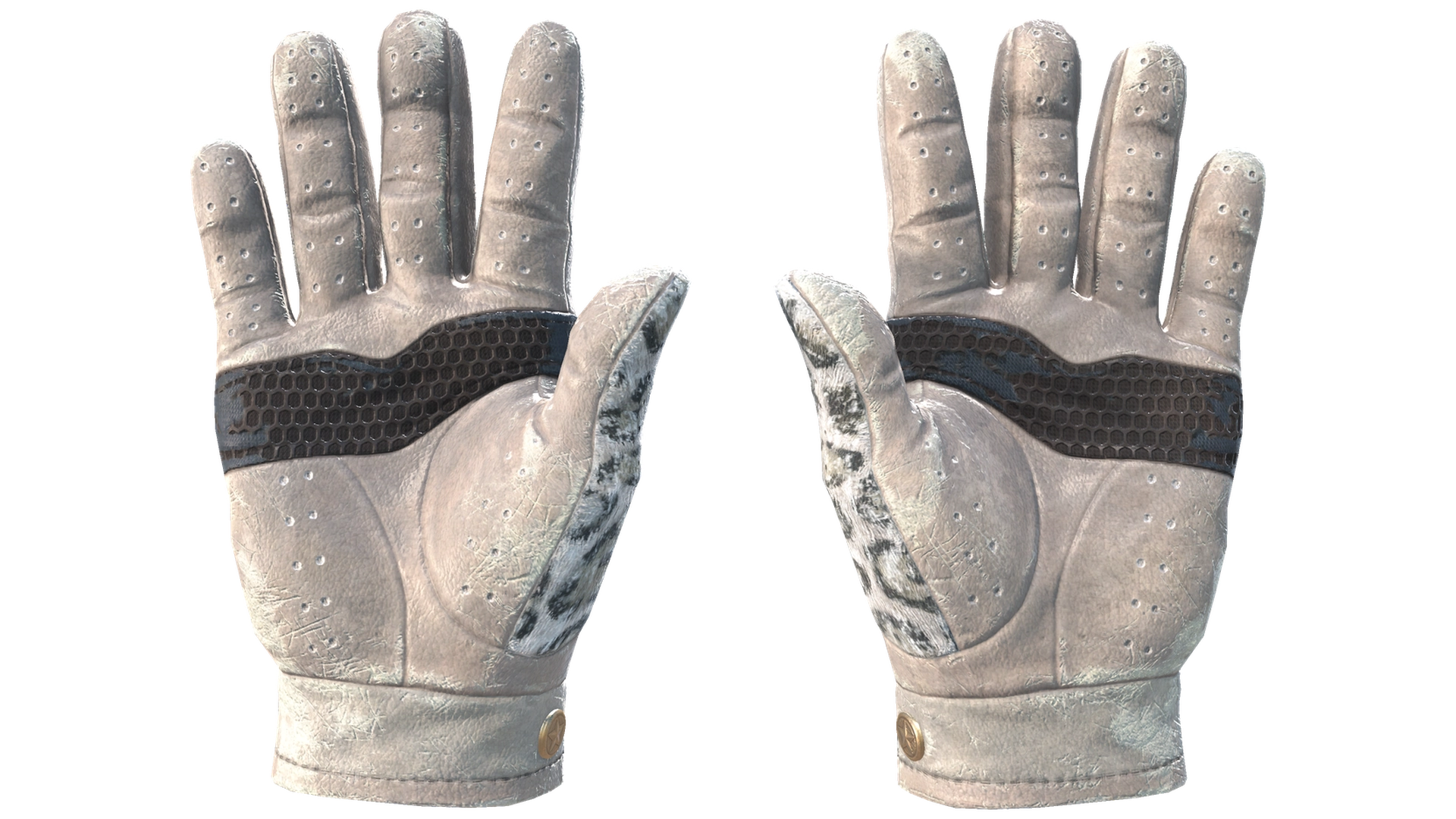 Snow Leopard image