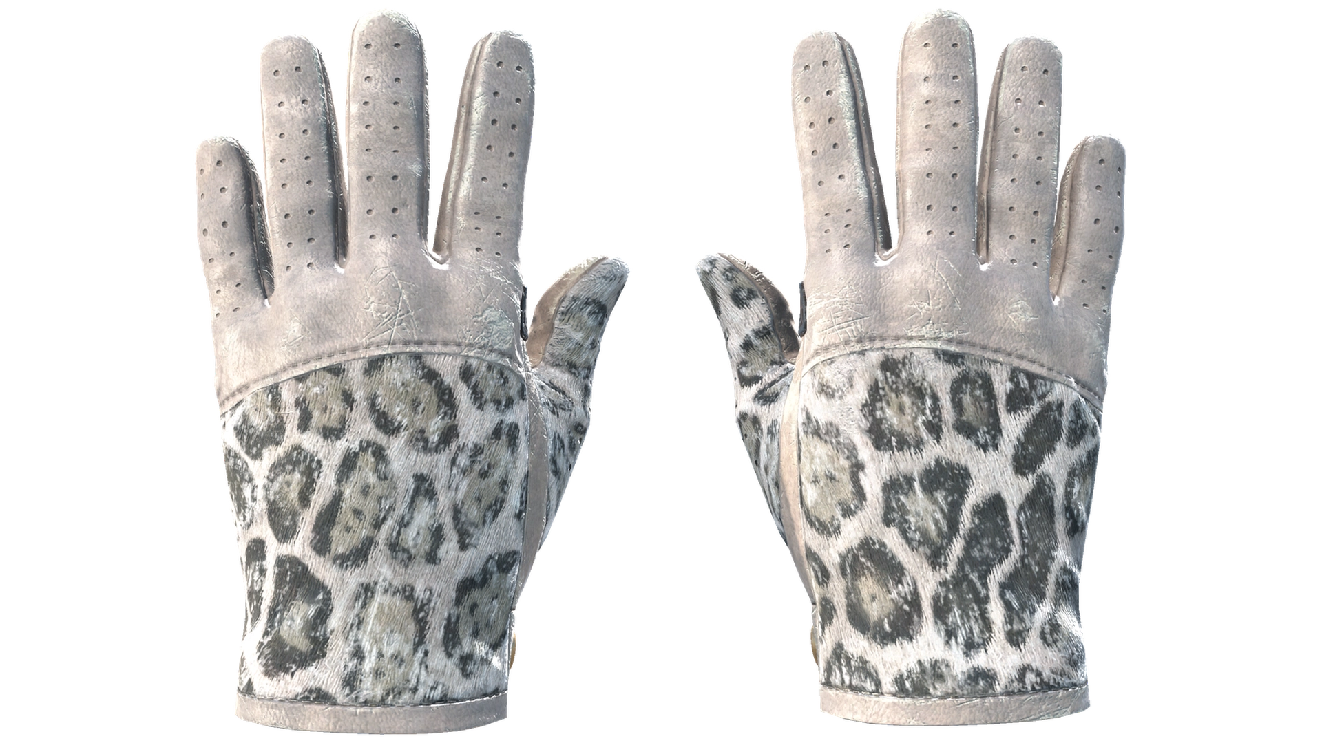 Snow Leopard image